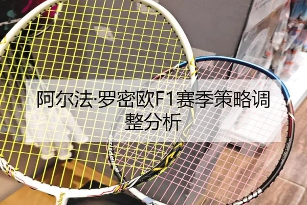 阿尔法·罗密欧F1赛季策略调整分析
